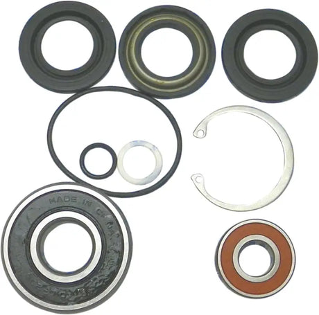 Pump repair kit components including bearings seals O-rings and retaining rings