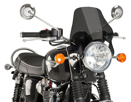 0869F Windscreen Naked Headlight Mount Dark Smoke