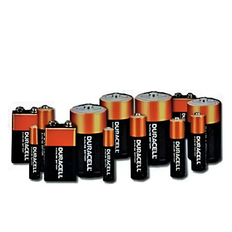 110215 Flashlight Battery