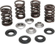 Engine valve spring kit for Evo Sportster 20-20360 Spring Kit .600 Lift Tc ’05 ’04