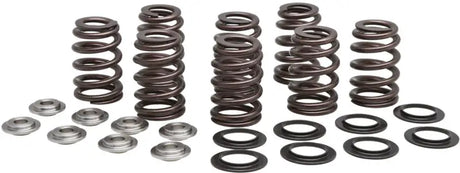 20-21000 Valve Spring Kit Beehive M8 Titanium