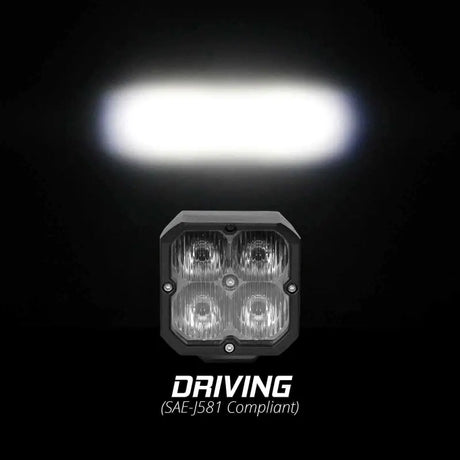 XK GLOW XK065001-D
