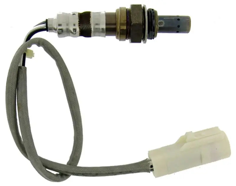22009 Oxygen Sensor