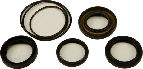 25-2010-5 Differential Seal Kit
