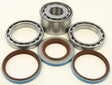 25-2098 Rear Differential Bearing And Seal Kit - &