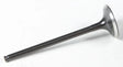 30-31166 Black Diamond Exhaust Valve