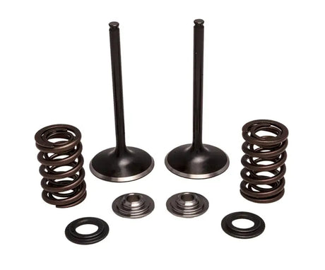 30-33200 Kpmi Intake Valve/Spring Kit Stainless Steel - RV and Auto Parts