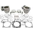 Engine cylinder and piston kit.