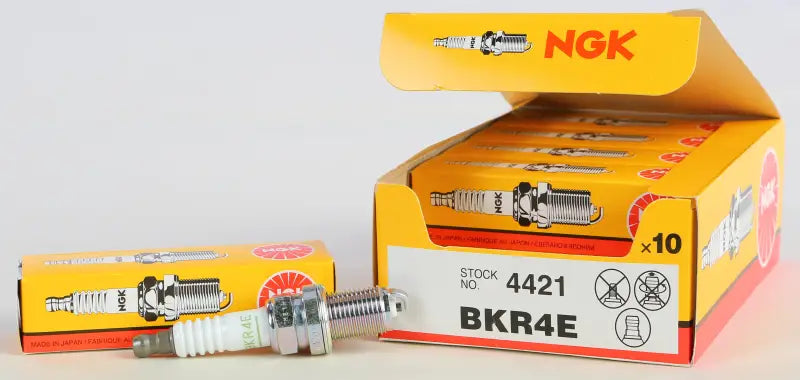 4421 Spark Plug #4421/10