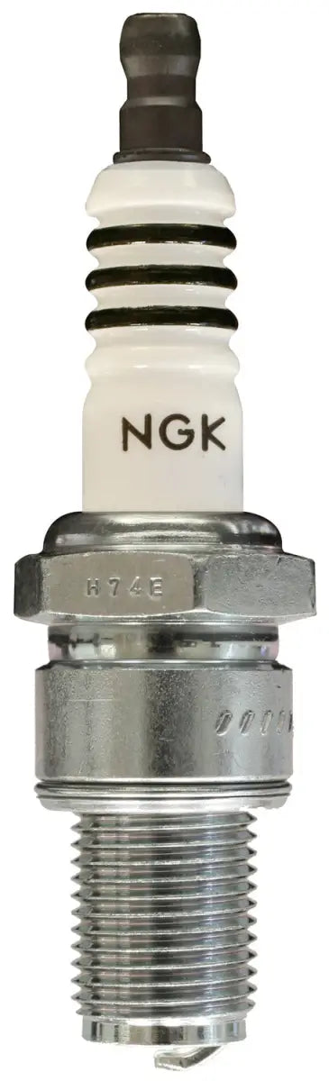 5438 Spark Plug /04