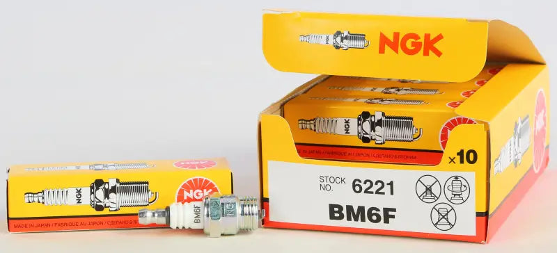 6221 Spark Plug #6221/10