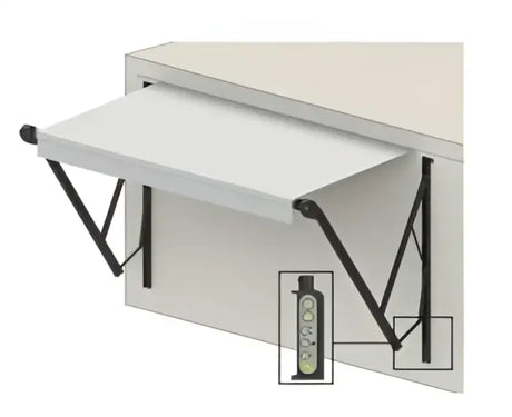 717666 Awning Remote Control