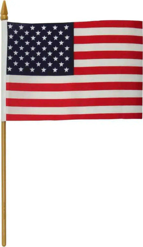 77-016 Replacement Flag 4x6 No Mount