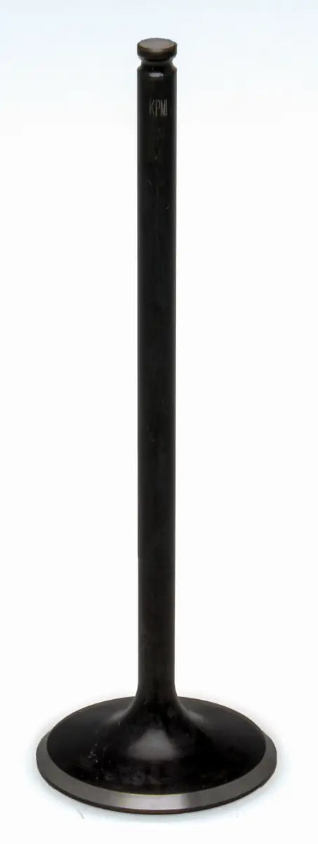 96-96516 Exhaust Valve Black Diamond SS