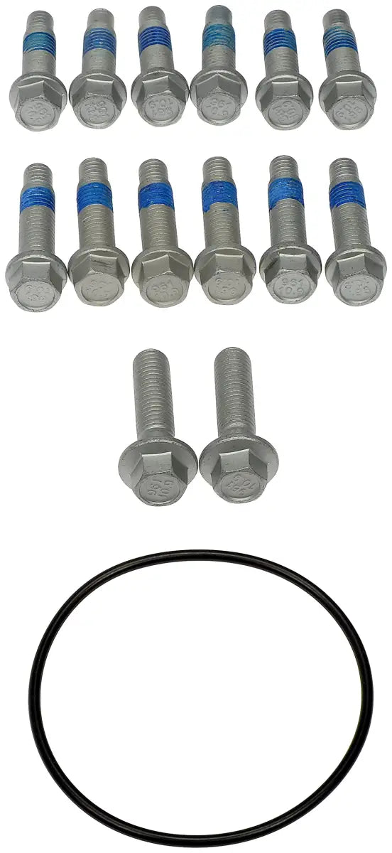 Bolts and black o-ring for Dorman hub rotor and caliper bracket assembly