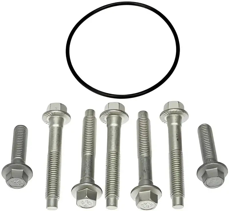 Bolts and black o-ring for Dorman hub rotor and caliper bracket bolt replacement