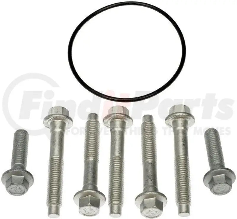 Bolts and O-ring for Dorman hub rotor and caliper bracket bolt repair