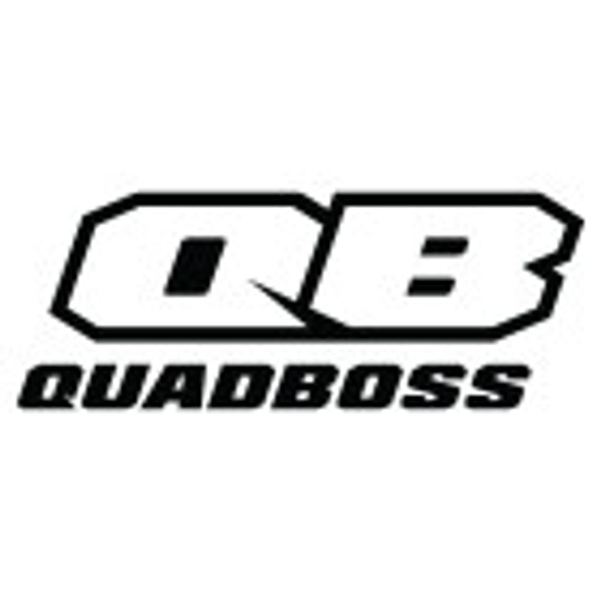 QuadBoss 18-19 Polaris ACE 570 EFI Lower Ball Joint Kit - 416593