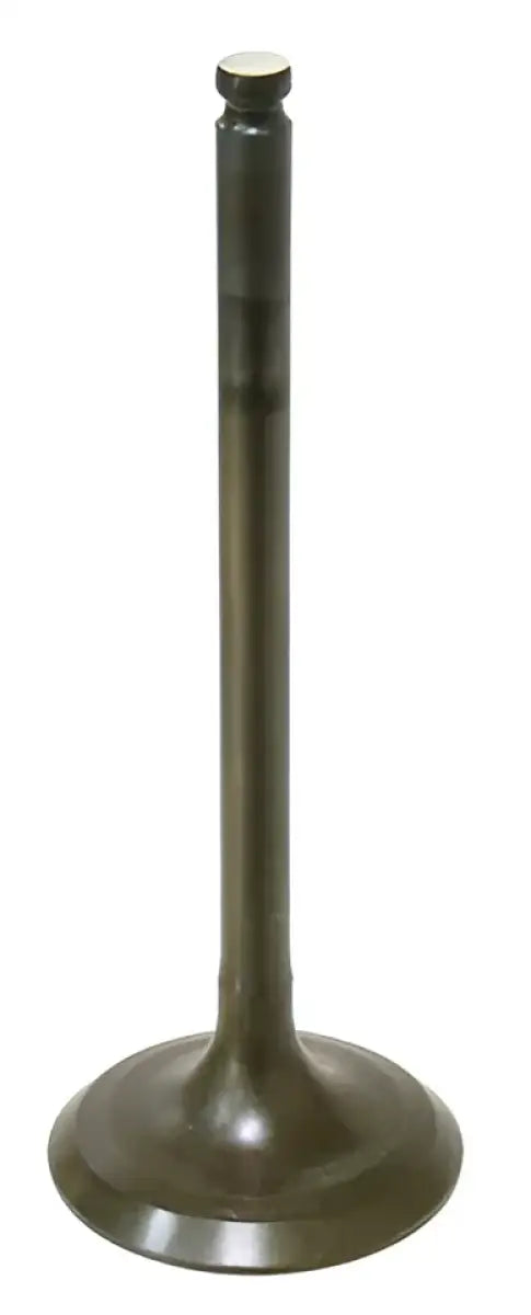 AU-09160I Intake Valve