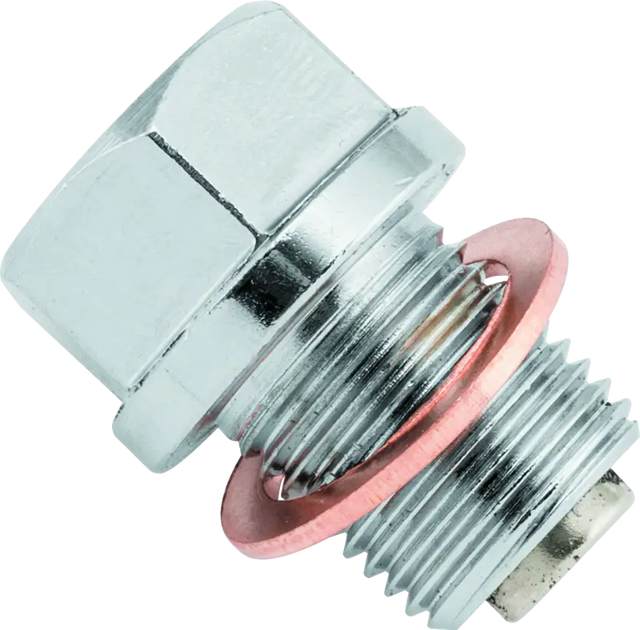 BikeMaster Magnetic Oil Drain Plug 14mm - Stainless - BikeMaster