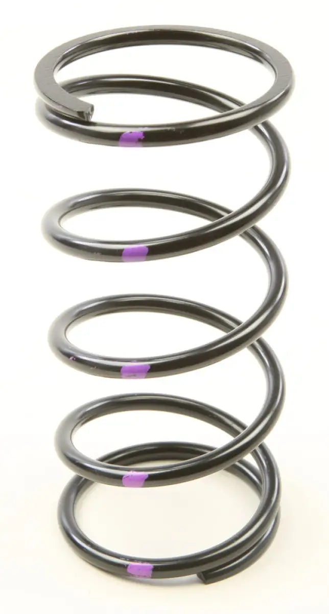 CCH5-N-170-250 H5 Secondary Springs Black/Purple