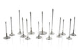 Shiny metal intake valve stem seals for Subaru EJ20 with 6mm Viton for high temp durability