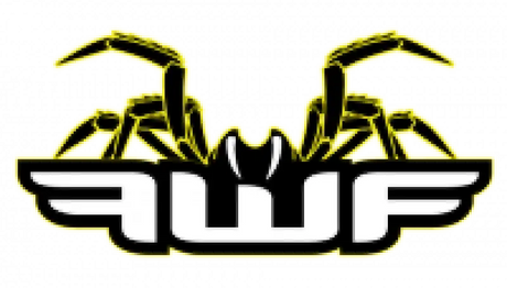 FWF PRO 7741 Funnelweb Air Filter Proline Hon Crf250R ’20 - Filters