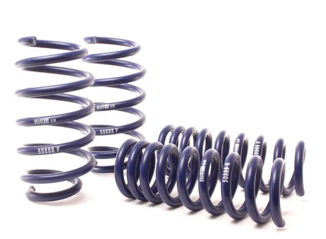 H&R 11-14 Dodge Challenger RT/SRT8 V8 Sport Spring Kit (w/o Nivomat) - Performance Car Suspension Upgrade
