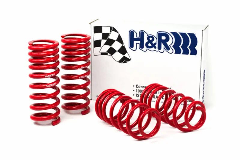 H&R 94-95 Ford Mustang/Mustang Cobra V8 Race Spring - Truck & Automotive