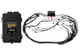 Haltech GM GEN IV LSX ECU kit with wiring harness for LS2/LS3 DBW engines