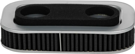 Harddrive TJ-A-063 Performance Air Filter Repl Oem 29331-96/29036-88B - Filters