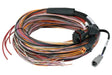 Haltech HT-188000 Haltech PD16 Flying Lead Harness 5M