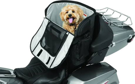 Motorcycle pet carrier with dog in Kuryakyn Pet Palace Titan for safe riding