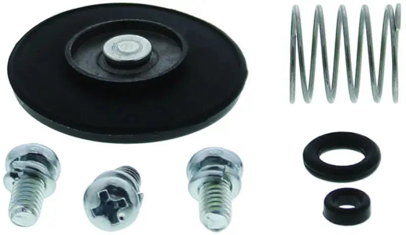 QuadBoss 06-14 Honda TRX450ER Accelerator Pump Kit - components including screws, spring, and seals