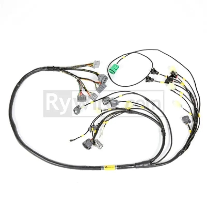 Rywire Honda F/H-Series engine harness with multiple connectors for reliable wiring