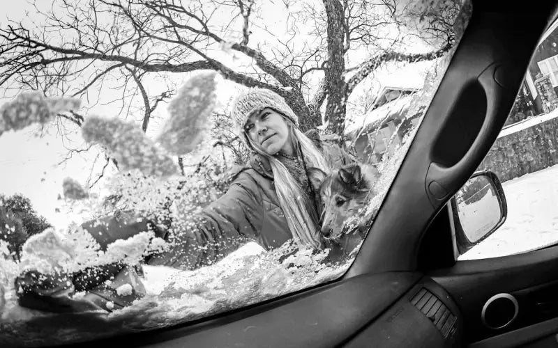 SNOW-KIT Texa Snow Cable Kit W/Case - Tools