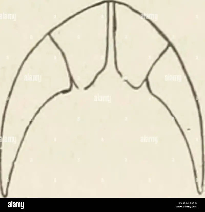 SP87-41 BLACK FIA Sp Frt 40 20 F-150 18 Sd - Seat Cover