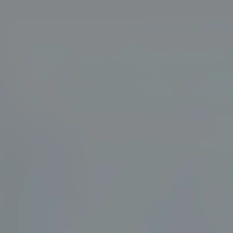 SP87-7 GRAY FIA Cvr Gry Frd S/D 99-07