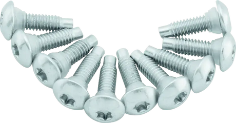 Twin Power 01-17 Softail Models 02-07 FLH FLHT Fuel Pump Plate Screw Kit Replaces H-D 1311D - RV and Auto Parts