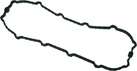 Twin Power 04-13 Dyna Models Fuel Pump Plate Seal Viton Replaces H-D 75245-04A - RV and Auto Parts