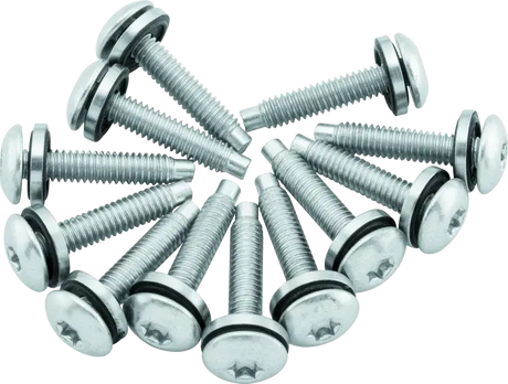 Twin Power 04-17 Dyna Models Fuel Pump Plate Screw Kit Replaces H-D 1311 - RV and Auto Parts