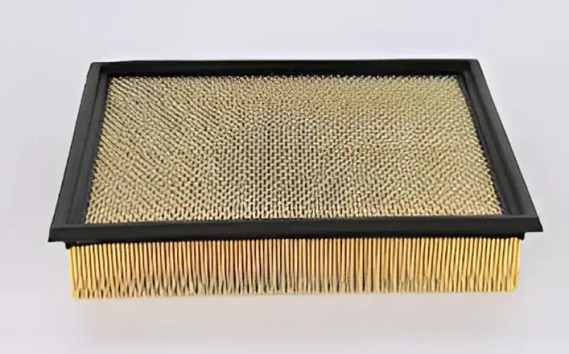 WA10906 Air Filter
