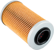 006-560 Oil Filter Sea/Ski 
