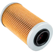 006-560 Oil Filter Sea/Ski 