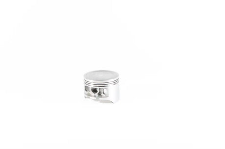 Silver piston kit with three rings and two pin bores for RV and truck parts