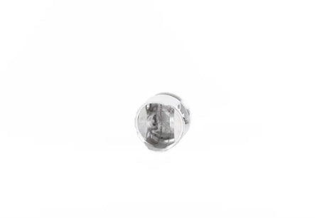 Shiny silver engine piston from 01.1480.000 Piston Kit for RV, truck parts & accessories