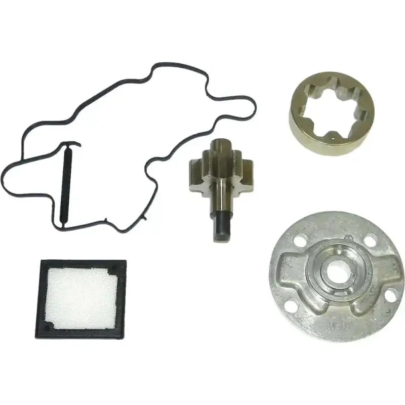 WSM 010-1215 Oil Pump Rebuild Kit S D S D 4 Tec Secondary Frt