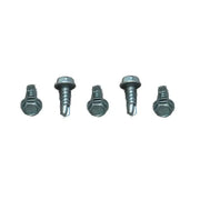 012-DP100 8 X 1/2 Screw