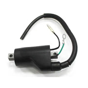 AT-01311 Atv Ignition Coil - ATV