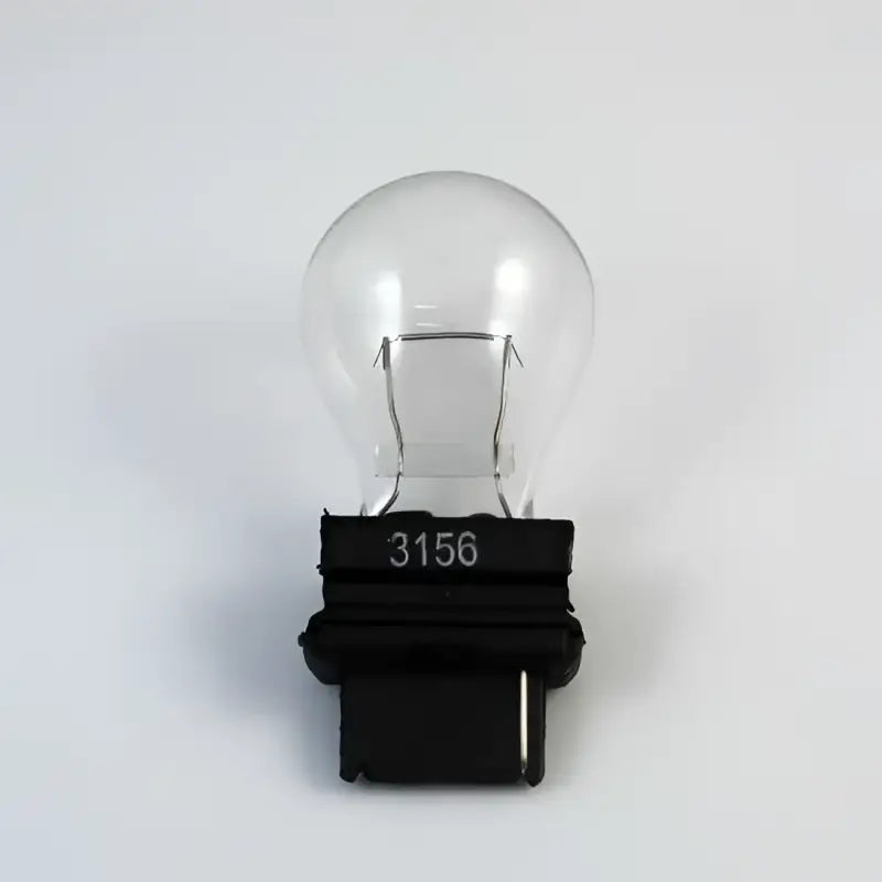 016-02-3156 Multi Purpose Light Bulb